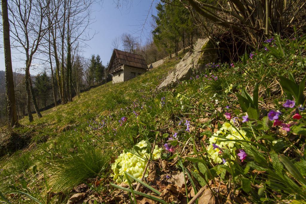 Вілла Casa Delle Noci Grimacco Номер фото